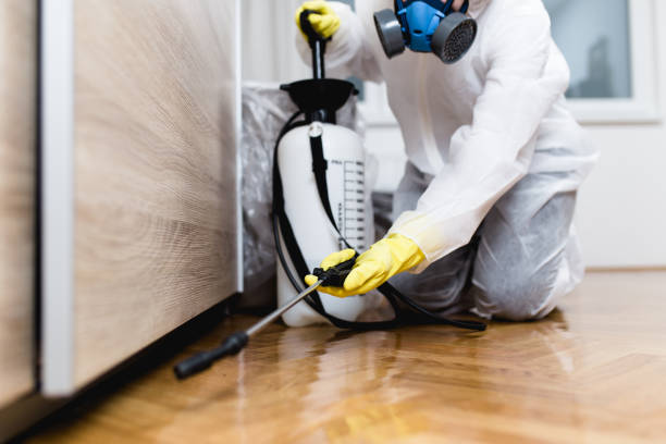 Best Ant Control Services  in Beechwood Village, KY
