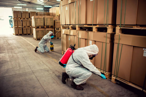 Best Bed Bug Extermination  in Beechwood Village, KY