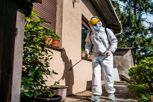 Best Flea Control Services  in Beechwood Village, KY