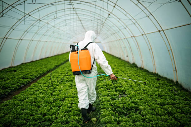 Best Commercial Pest Control Services  in Beechwood Village, KY