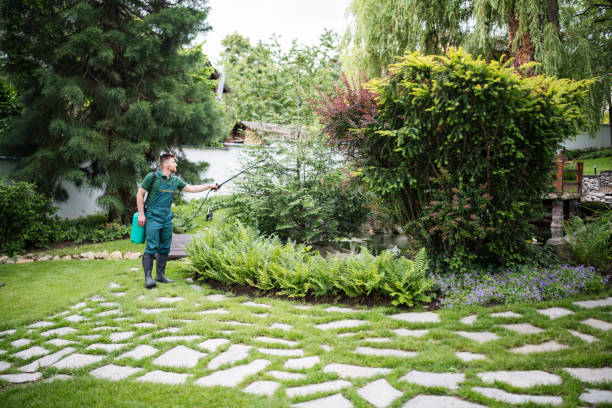 Best Cockroach Control Services  in Beechwood Village, KY