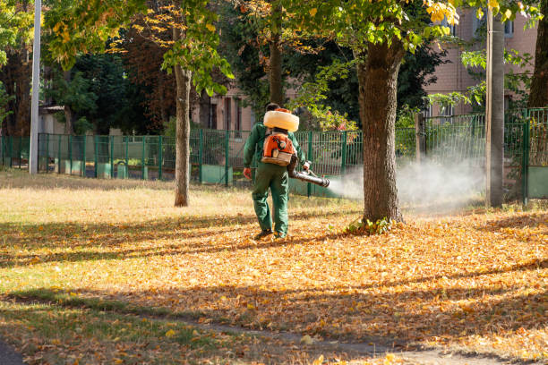 Best Affordable Pest Control Services  in Beechwood Village, KY