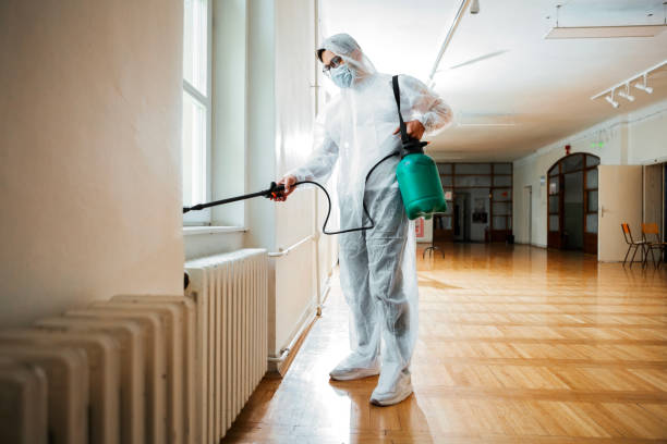 Best Affordable Pest Control Services  in Beechwood Village, KY