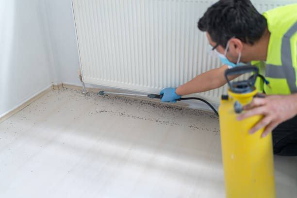 Best Pest Removal Services  in Beechwood Village, KY