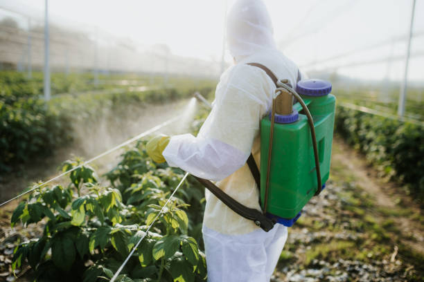 Best Wildlife Control Services  in Beechwood Village, KY